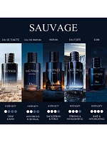 Sauvage Eau De Parfum