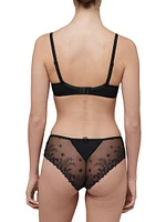 Delice Sheer Plunge Bra