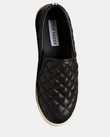 ECENTRIC-Q BLACK