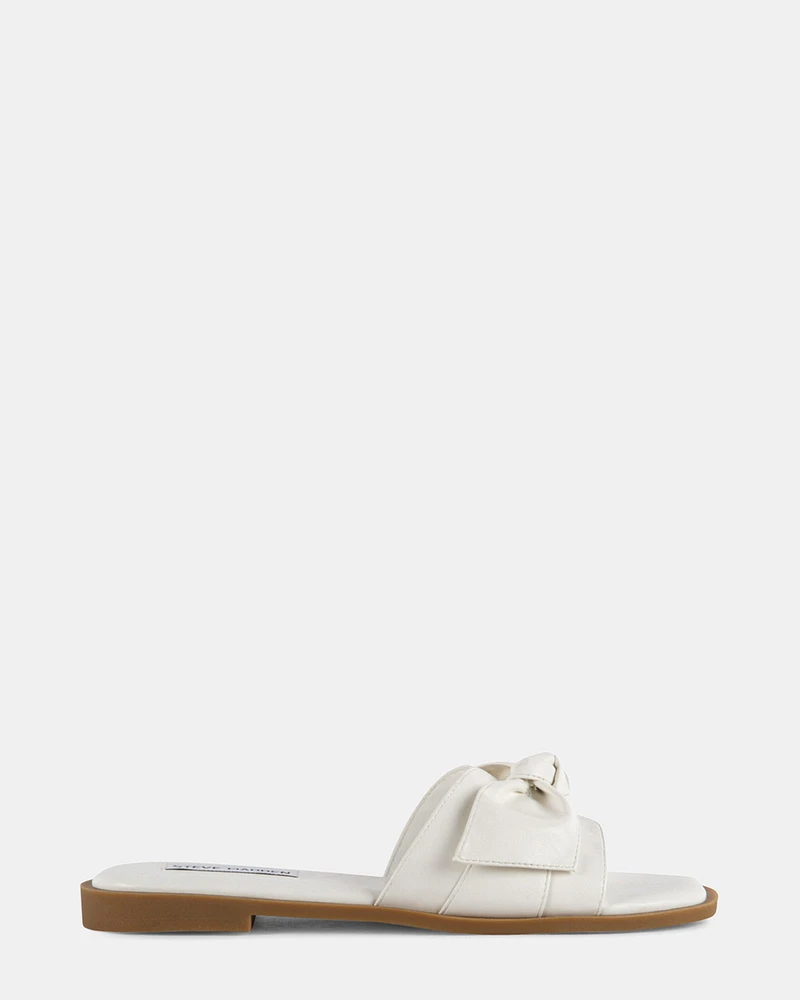 BLESSED WHITE