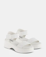 REACH WHITE
