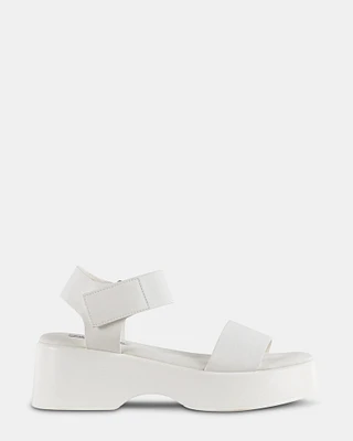 REACH WHITE