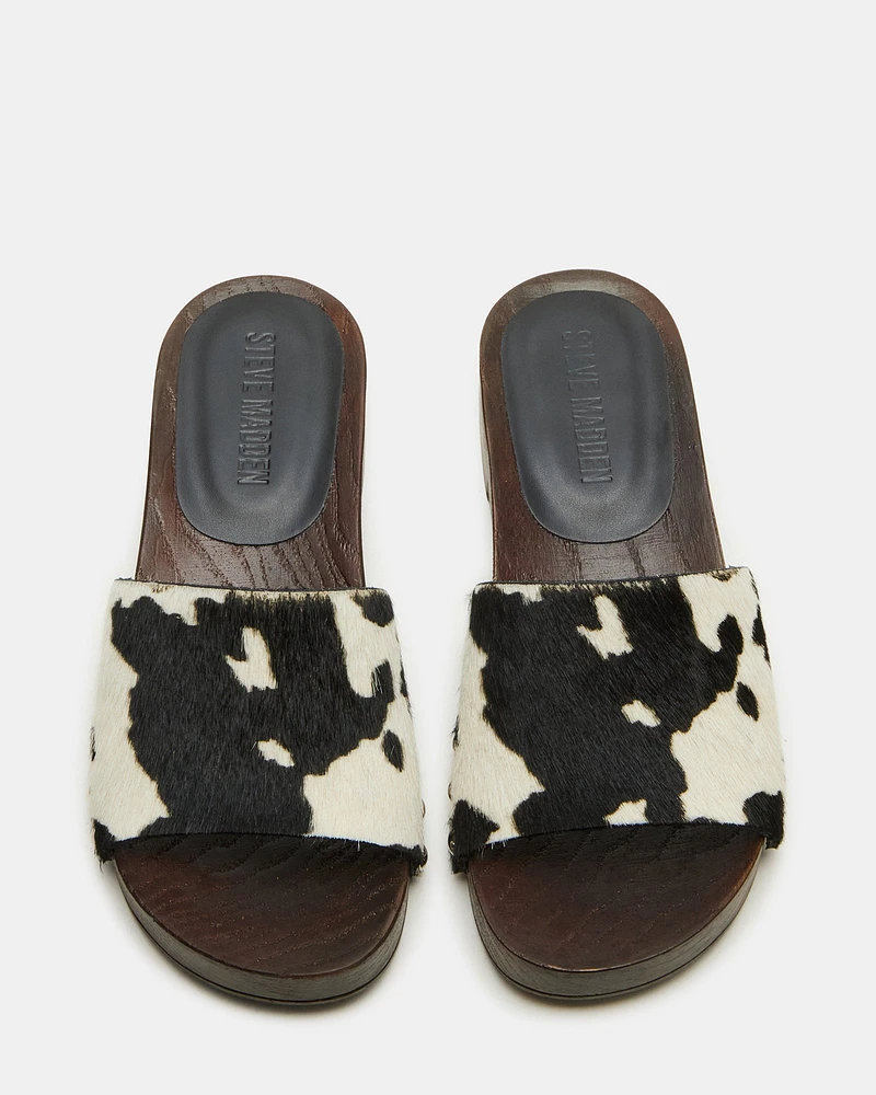 CENTO-C BLACK MULTI