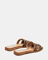 HADYN-L LEOPARD