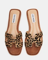 HADYN-L LEOPARD