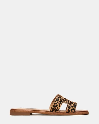 HADYN-L LEOPARD