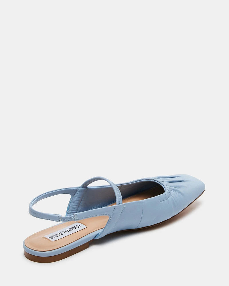 HASTINGS BLUE
