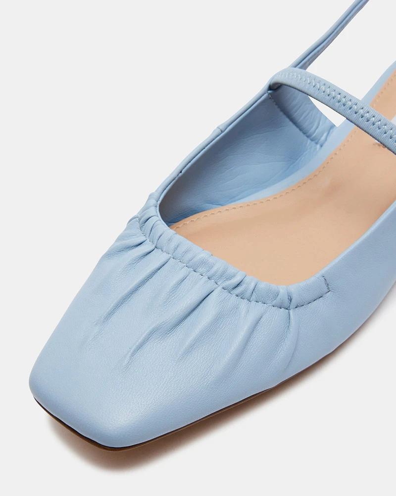 HASTINGS BLUE