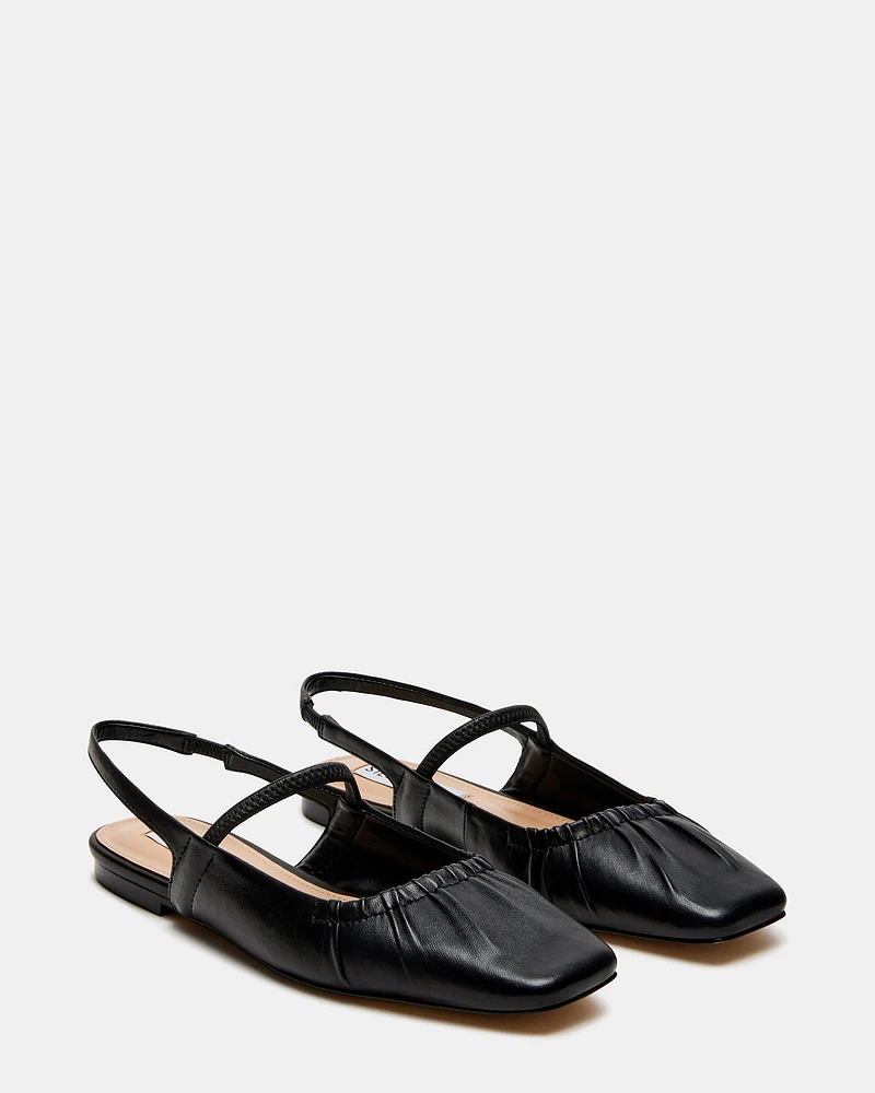HASTINGS BLACK