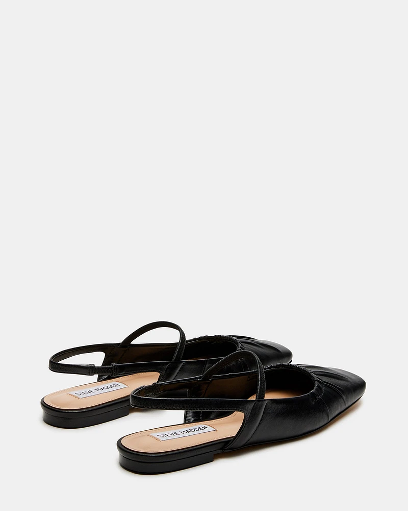 HASTINGS BLACK