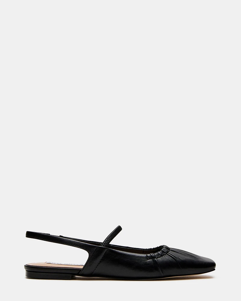 HASTINGS BLACK