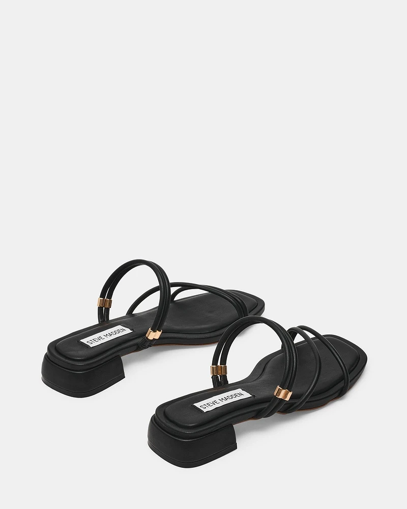 VERONIA BLACK