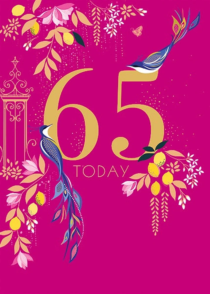 65 today – Bird Greeting Card