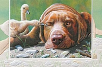 Pecking Order Thinking of You Card