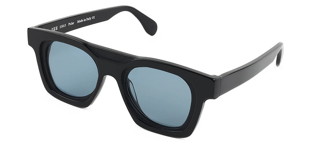 SEE 55015 Polar