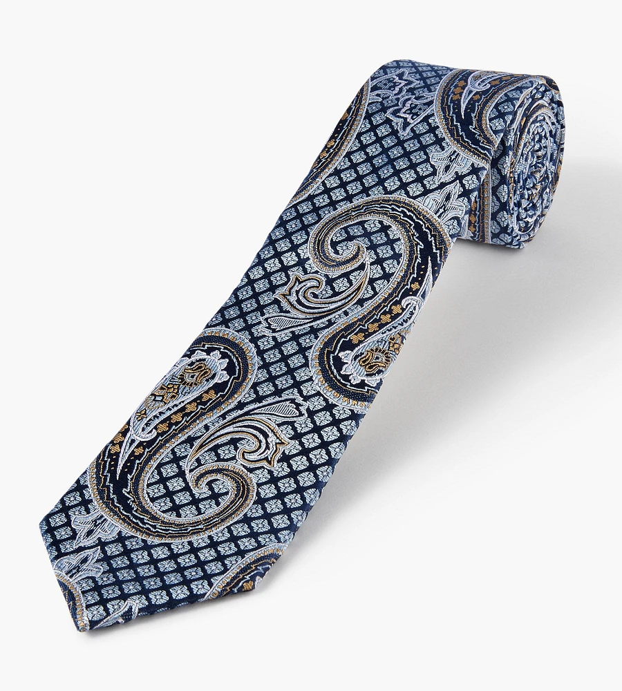 Large Paisley Tie