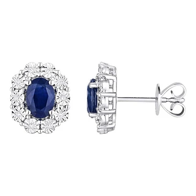 Earrings 10 Kt Roger Roy E309SA