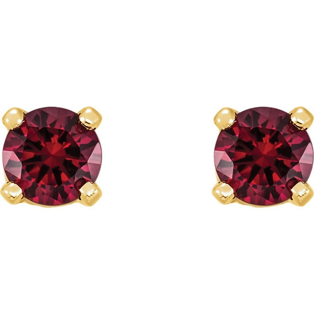 Earrings 10 Kt Roger Roy CZE1115M01