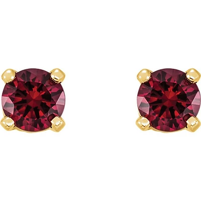 Earrings 10 Kt Roger Roy CZE1115M01