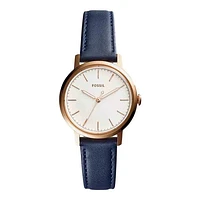 Fluco 338M-01