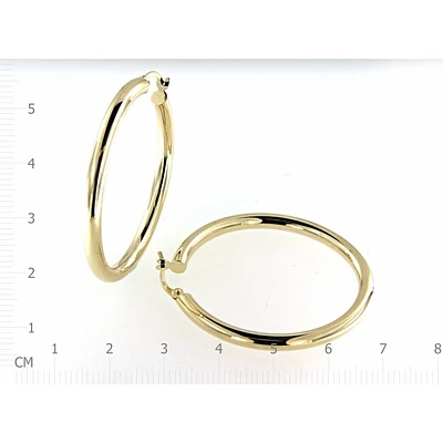 Earrings 10 Kt Roger Roy E000330SL