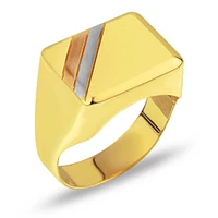 Bague 10 Kt Roger Roy OGYZ2116