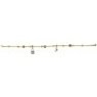 Bracelet 10 Kt Roger Roy B415-BLK014