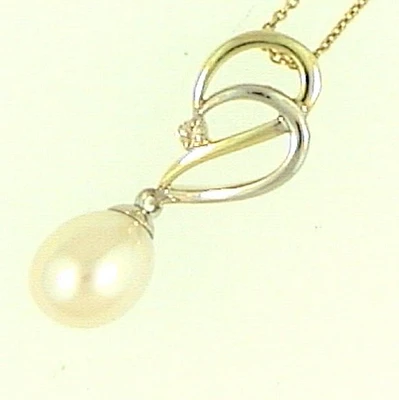 Pendant 10 kt Roger Roy 242328