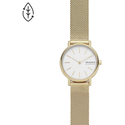 Montre Skagen Watch SKW2693
