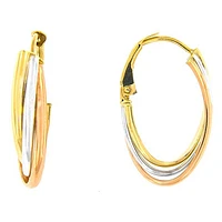 Boucles D’oreilles 10 Kt Roger Roy E209620D