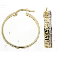 Boucles D’oreilles 10 Kt Roger Roy EDA160750-YW