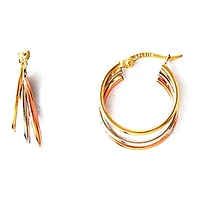 Boucles D’oreilles 10 Kt Roger Roy E502973TCD