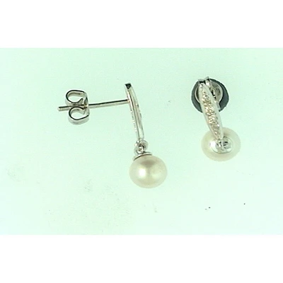 Earrings 10 Kt Roger Roy