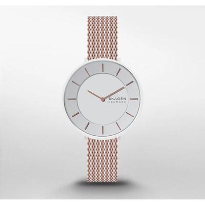 Montre Skagen Watch SKW3014