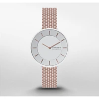 Montre Skagen Watch SKW3014
