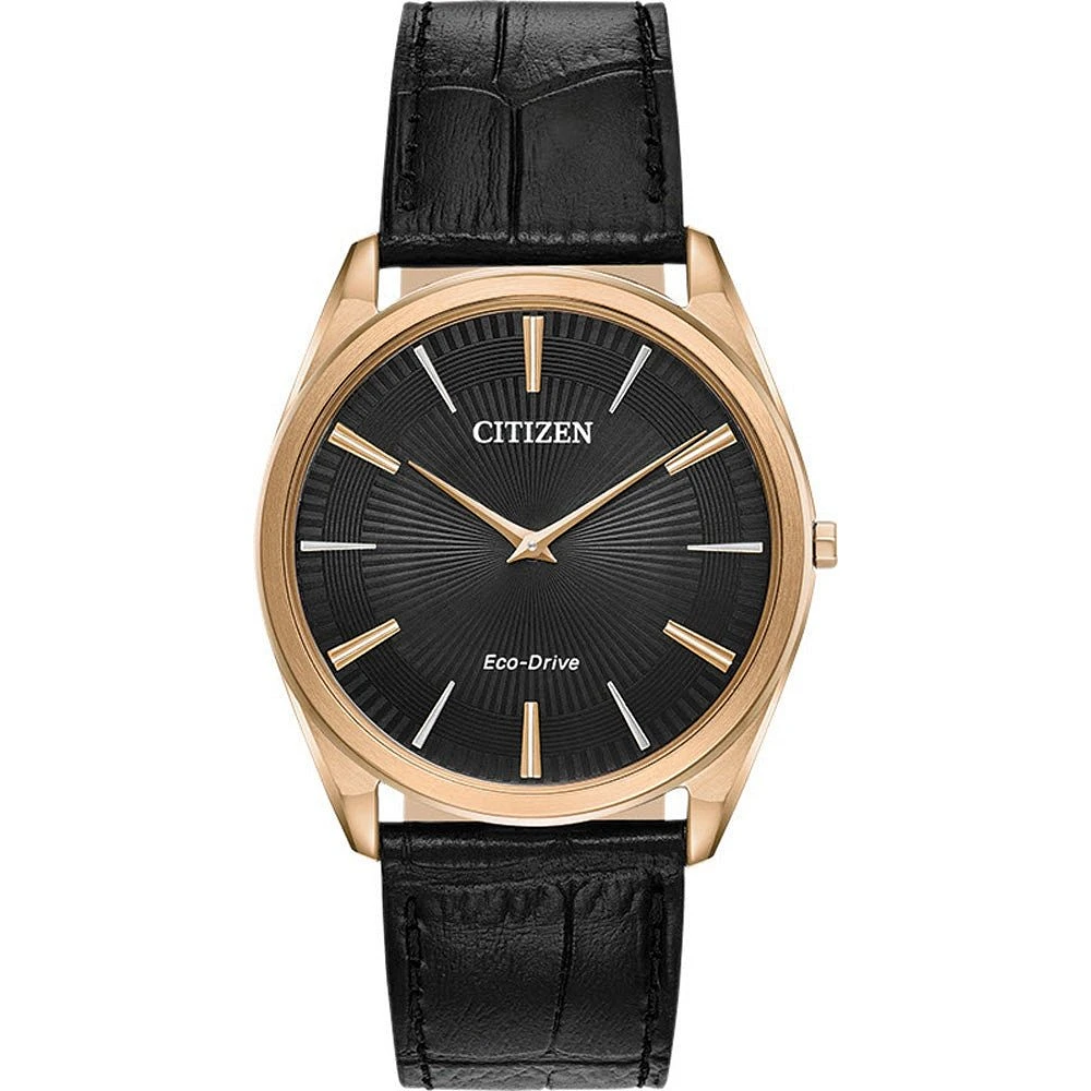 Montre Citizen Watch AR3073-06E
