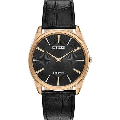 Montre Citizen Watch AR3073-06E