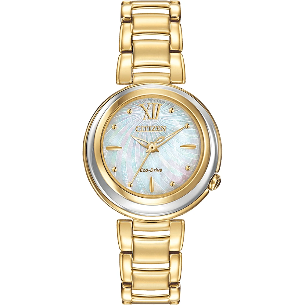 Montre Citizen Watch EM0334-54D
