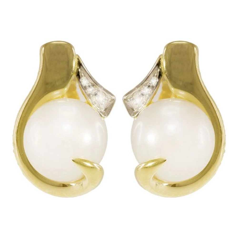 Earrings 10 Kt Roger Roy 261497
