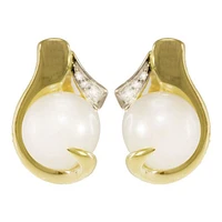 Earrings 10 Kt Roger Roy 261497