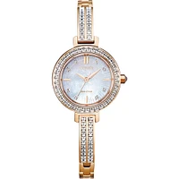 Montre Citizen Watch EM0863-53D