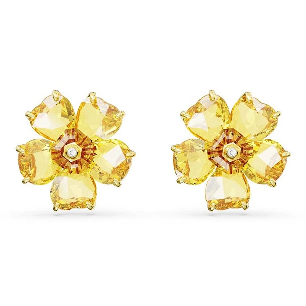 Boucles d’oreilles Swarovski 5650571