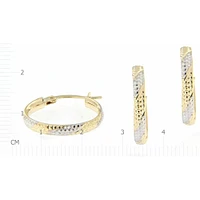 Earrings 10 Kt Roger Roy E210350YW