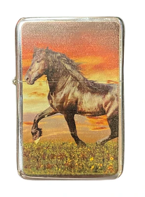 Star Lighter Horse In Field
