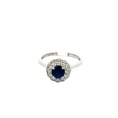 .62ct Round Cut Blue Sapphire and Double Diamond Halo Ring