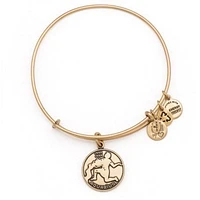 Aquarius Zodiac Bangle Bracelet