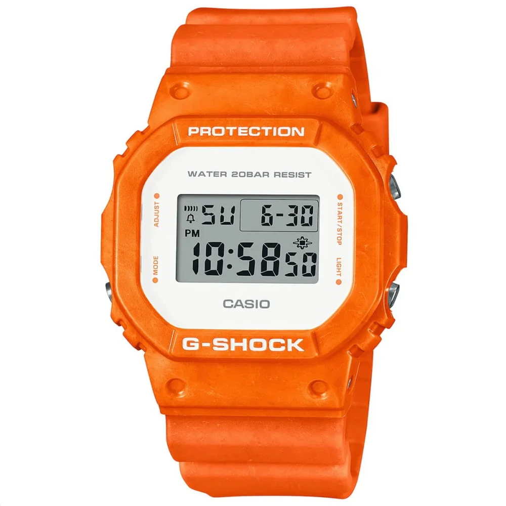 DW5600WS-4