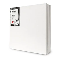 Tofino Canvas Pack : Gallery - 12 X 12 in
