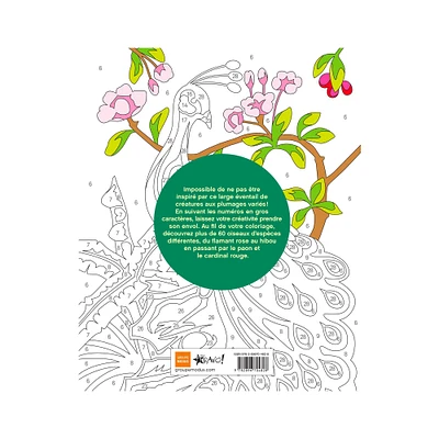 Coloriage par numéros : Oiseaux