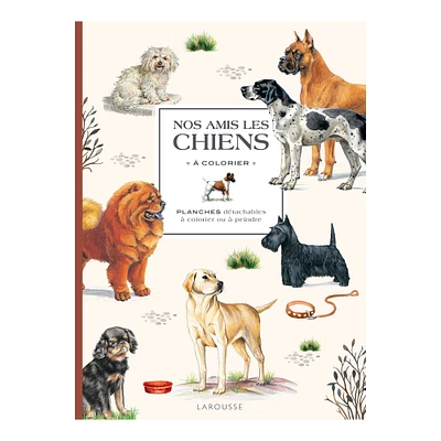 Nos amis les chiens à colorier